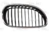 BMW 51137027062 Radiator Grille